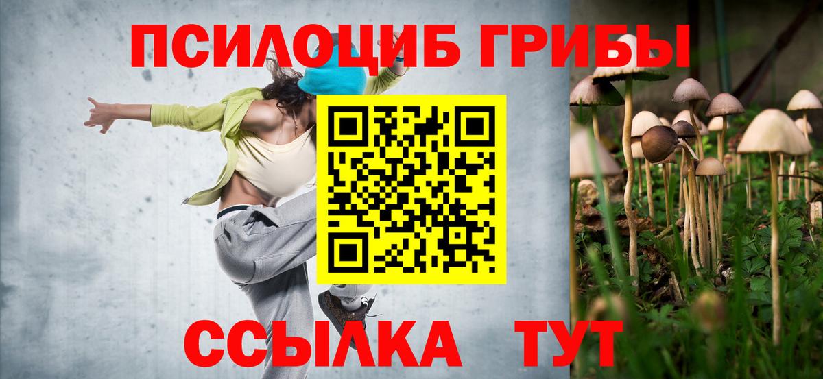 Галлюциногенные грибы мицелий Богородицк
