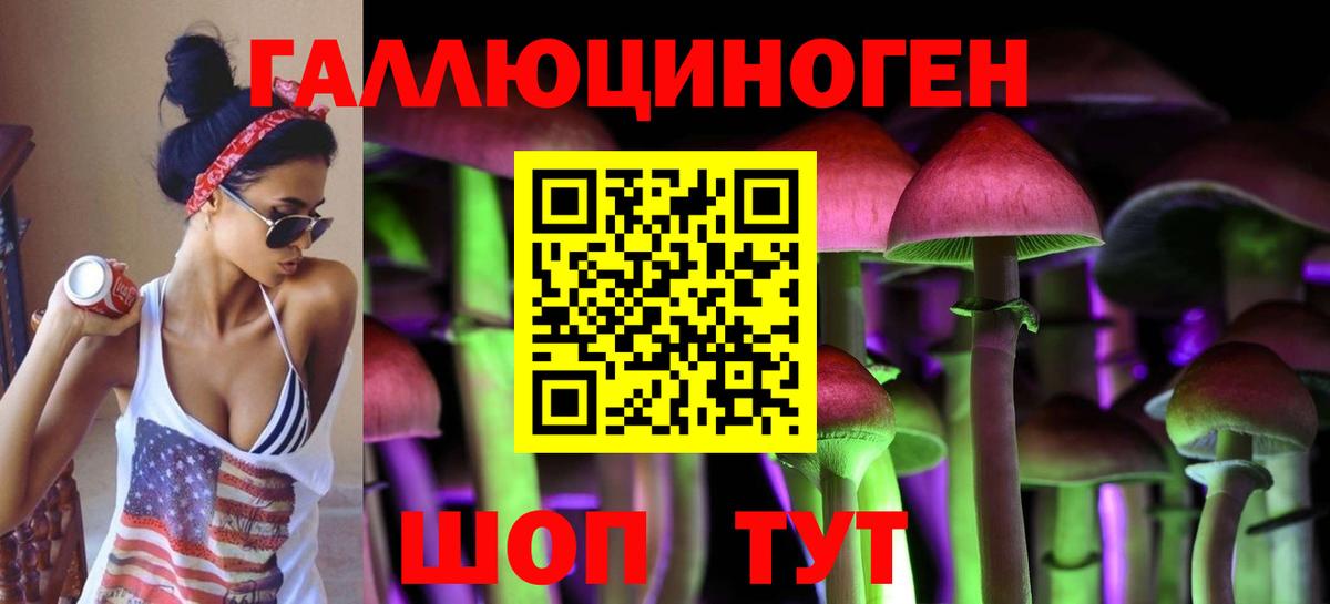 Богородицк  Псилоцибиновые грибы ЛСД  Вход с VPN  Псилоцибиновые грибы Magic Shrooms 