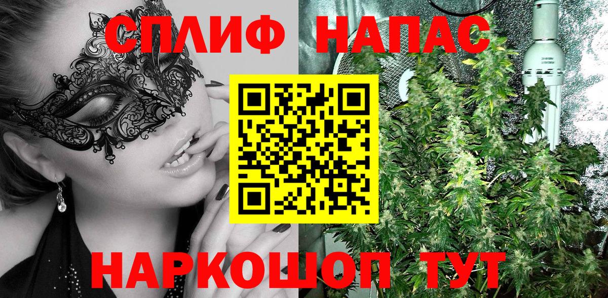 Бошки Шишки ГИДРОПОН Богородицк